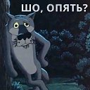 ���� ������, ����� - ��������� 26 ����� 2025 � ������ ���� ����������