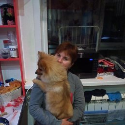 ������, ������, 44 ����