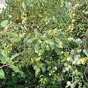 ���� �����, �������� - ��������� 26 ���� 2025 � ������ ������� 2025�