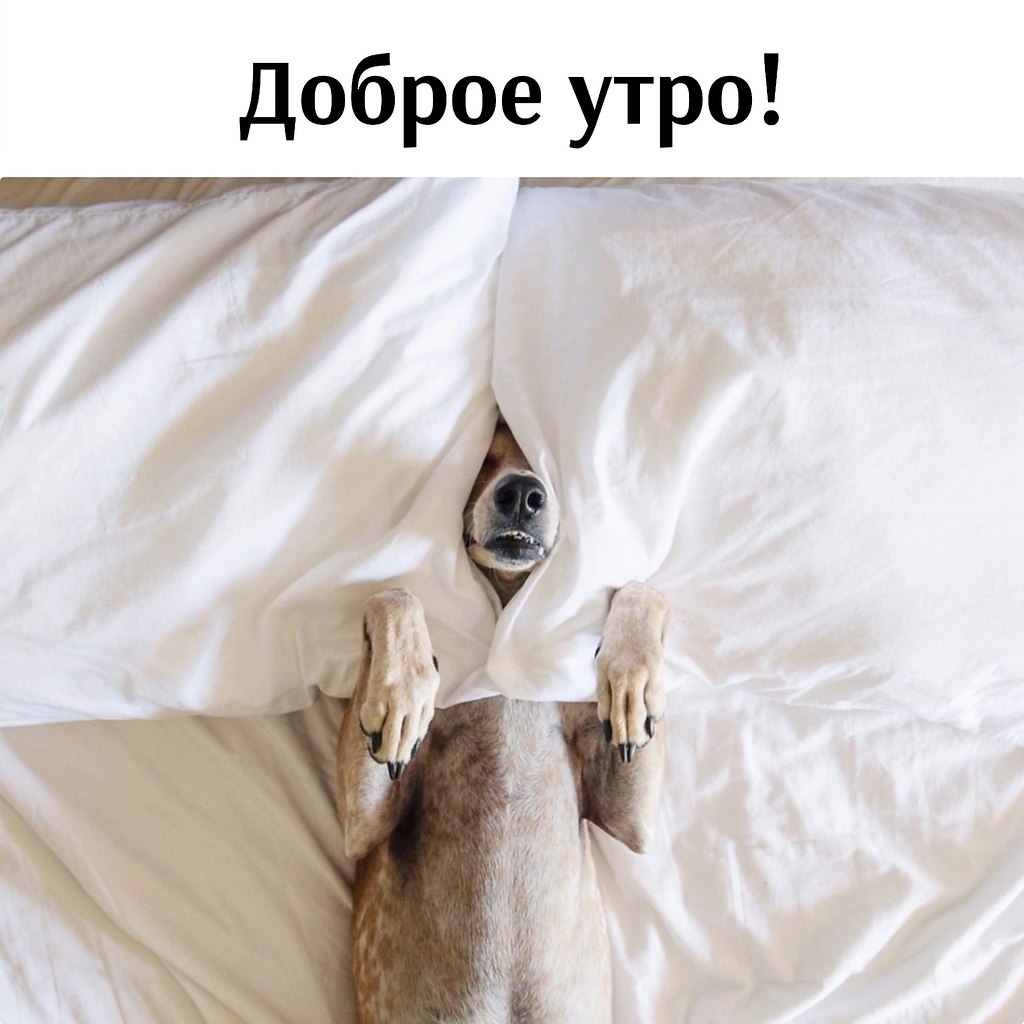 !