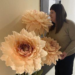 ���� �������, �������, 36 ��� - ��������� 1 ������� 2023