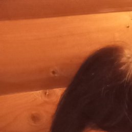 �������, ���������, 50 ���