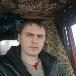 , 43, 