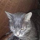 ���� ����, ���������, 54 ���� - ��������� 30 �������� 2024 � ������ ������ ��������