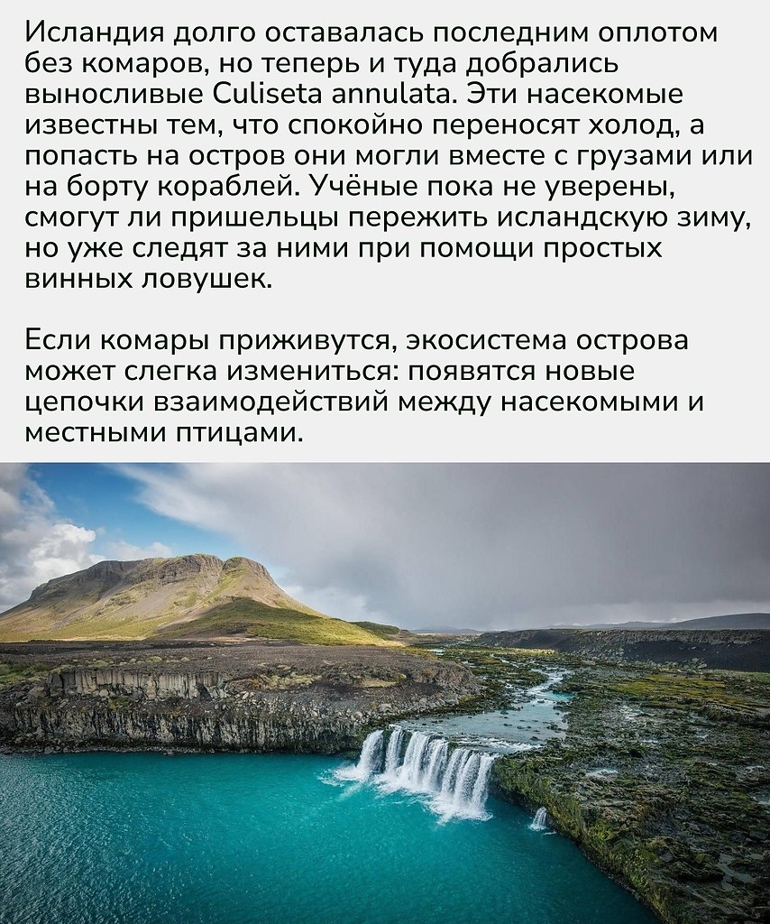 Даже самые суровые климатические барьеры перестают быть преградой для распространения живых существ ... - 2