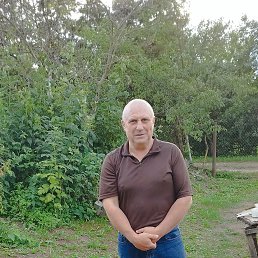 ���� ��������, ������, 62 ���� - ��������� 6 ������ 2026