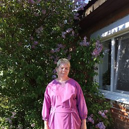 ���� ������, �������-���������, 44 ���� - ��������� 15 ������ 2025