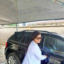 ���� Stella, �������, 38 ��� - ��������� 11 ���� 2025 � ������ ���� ����������