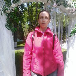 ���� ��������, ������, 41 ��� - ��������� 15 ������ 2026