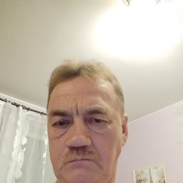 , 61, 