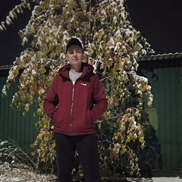 �������, ����, 43 ����