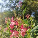 ���� ���������, ������, 37 ��� - ��������� 3 ������� 2025 � ������ ���� ����������