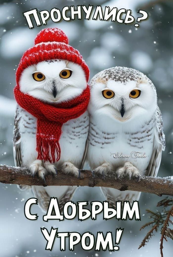 ***Victoria Viktorovna*** - 15 ������ 2026 � 03:33