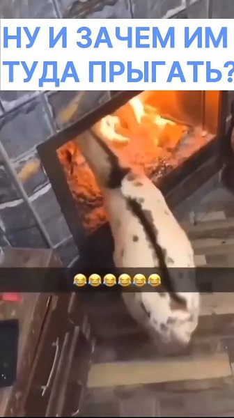 ���������� ����: ���� ������� ����������� ����� ��� �����, ������� ���������� �� ���������, �� ...