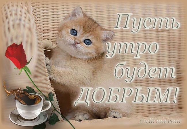 ������� ��������� - 24 ������� 2025 � 04:45