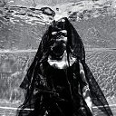 ���� ������, ��������������, 53 ���� - ��������� 5 ������ 2024 � ������ ������� ��� �����