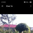 ���� ����, ������, 38 ��� - ��������� 15 ���� 2025 � ������ ���� ����������