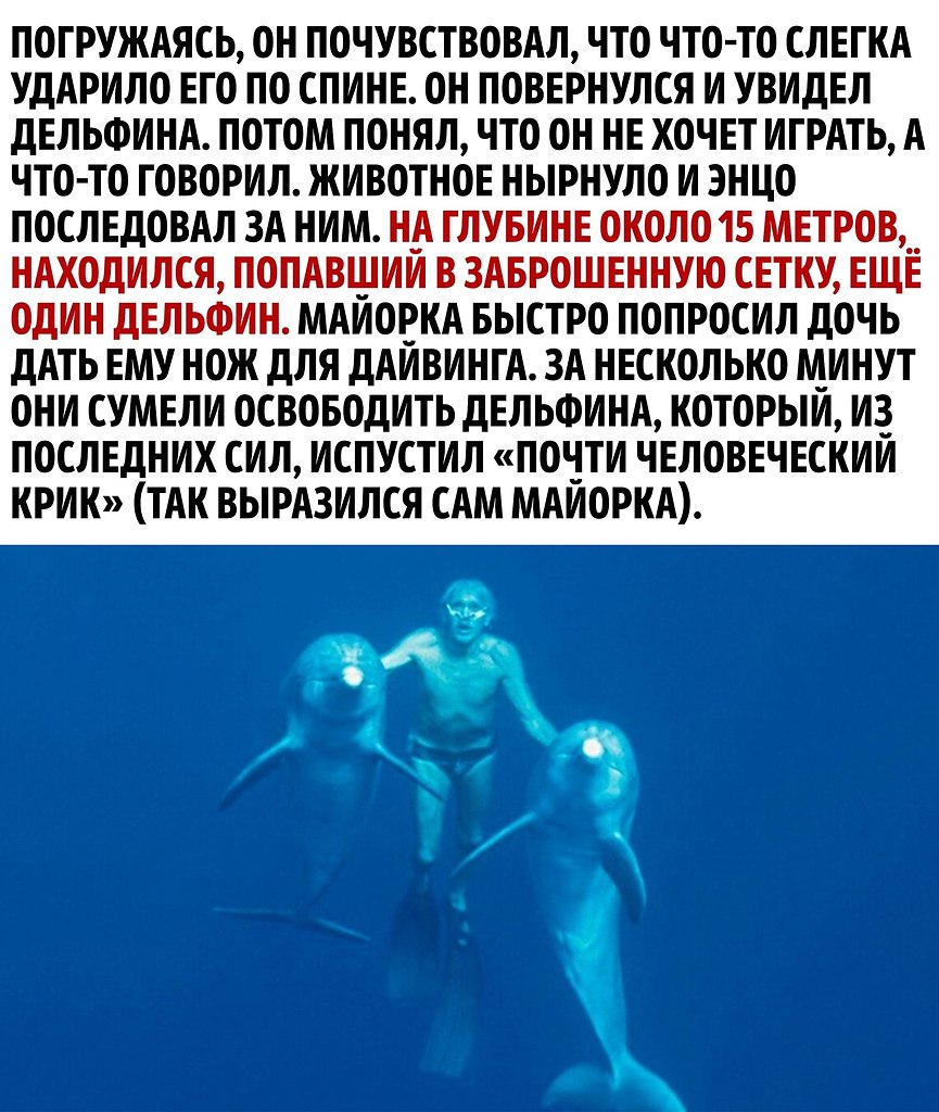     ! - 2