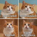 ���� ����, ��������� - ��������� 21 ������ 2026 � ������ ������ ��������