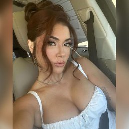 ���� ������, �������� ���, 23 ���� - ��������� 14 ������ 2026