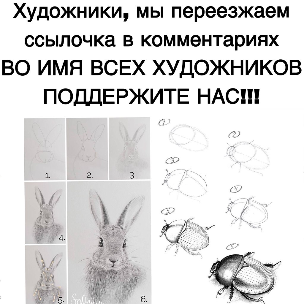 Школа рисования - 19 октября 2025 в 08:42