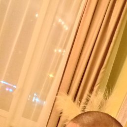 ���� ������, �����-���������, 39 ��� - ��������� 22 ������� 2023