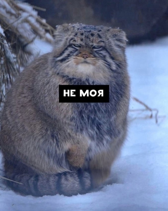 . - 7