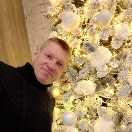 ������, 49 ���, �����