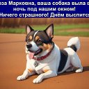 ���� ����, ���� - ��������� 12 ��� 2025 � ������ �������