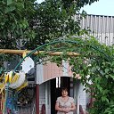 ���� ����, �������� - ��������� 7 ���� 2024 � ������ ����� ��� ������������