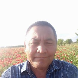 �����, ����, 50 ���