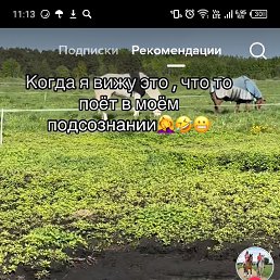 ���� ����� �������, ������, 24 ���� - ��������� 20 ��� 2024