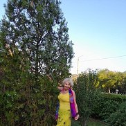 ���������, , �������