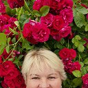 ���� Albina, �����������, 62 ���� - ��������� 25 ������� 2025 � ������ ���� ����������