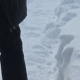 ���������, ���������, 49 ���