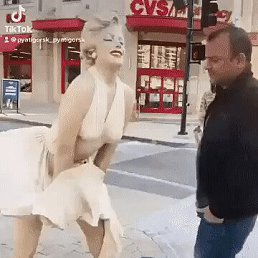 �����, 41 ���, ���������