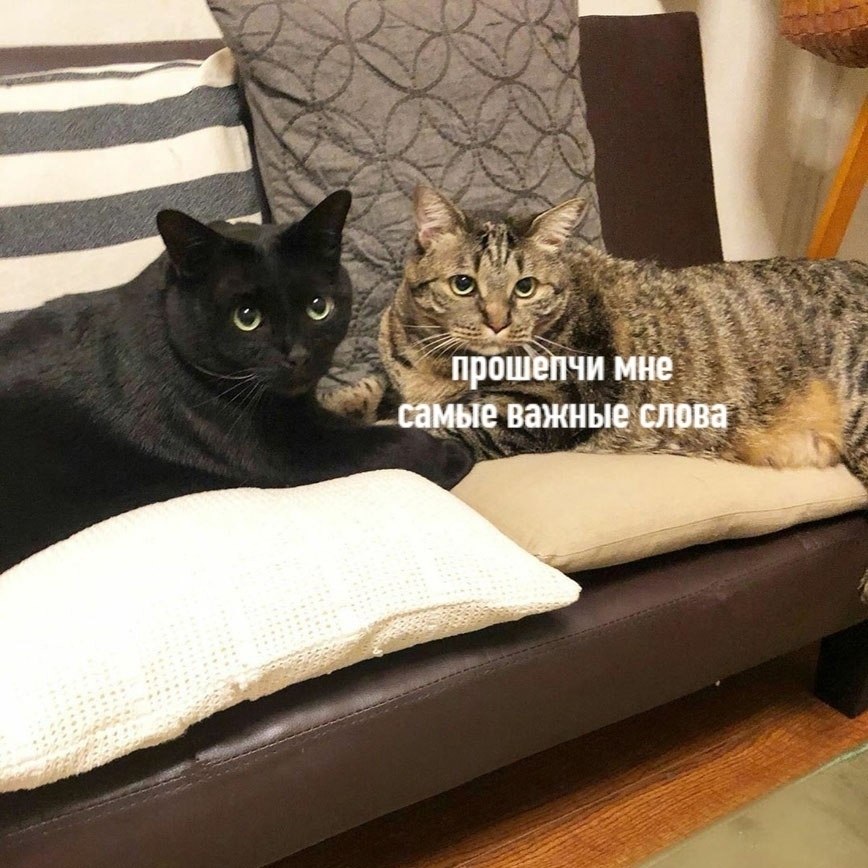   )