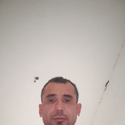 , 41, 