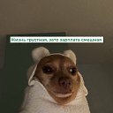 ���� �����, �����������, 55 ��� - ��������� 6 ������� 2026 � ������ ���� ����������