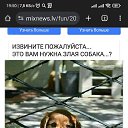 ���� ��������, ���������, 55 ��� - ��������� 9 ������ 2023 � ������ ���� ����������