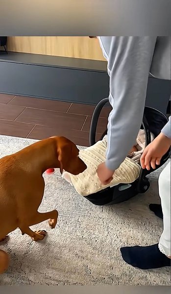 ��� �� ��� ����, ��������� ���� ��������! - 2