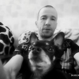 �������, 37 ���, ��������