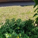 ���� ����, ��������� - ��������� 19 ���� 2026 � ������ ������ ��������