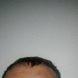 ���� ���, �����-���������, 40 ��� - ��������� 21 ������� 2024