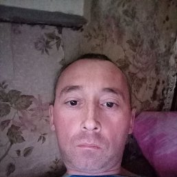 ����, 38 ���, ��������