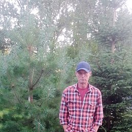 , 50, 