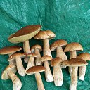 ���� ���������, ������, 70 ��� - ��������� 28 ������� 2023 � ������ ������ �����