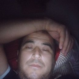 ���, 33 ����, ���������