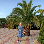 ������, 67 ���, ��������