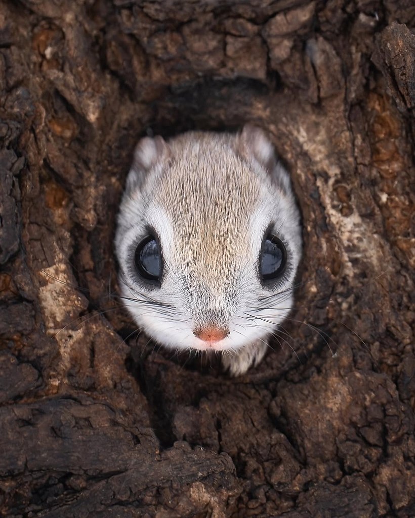   - -  . Ÿ   ,     ... - 2